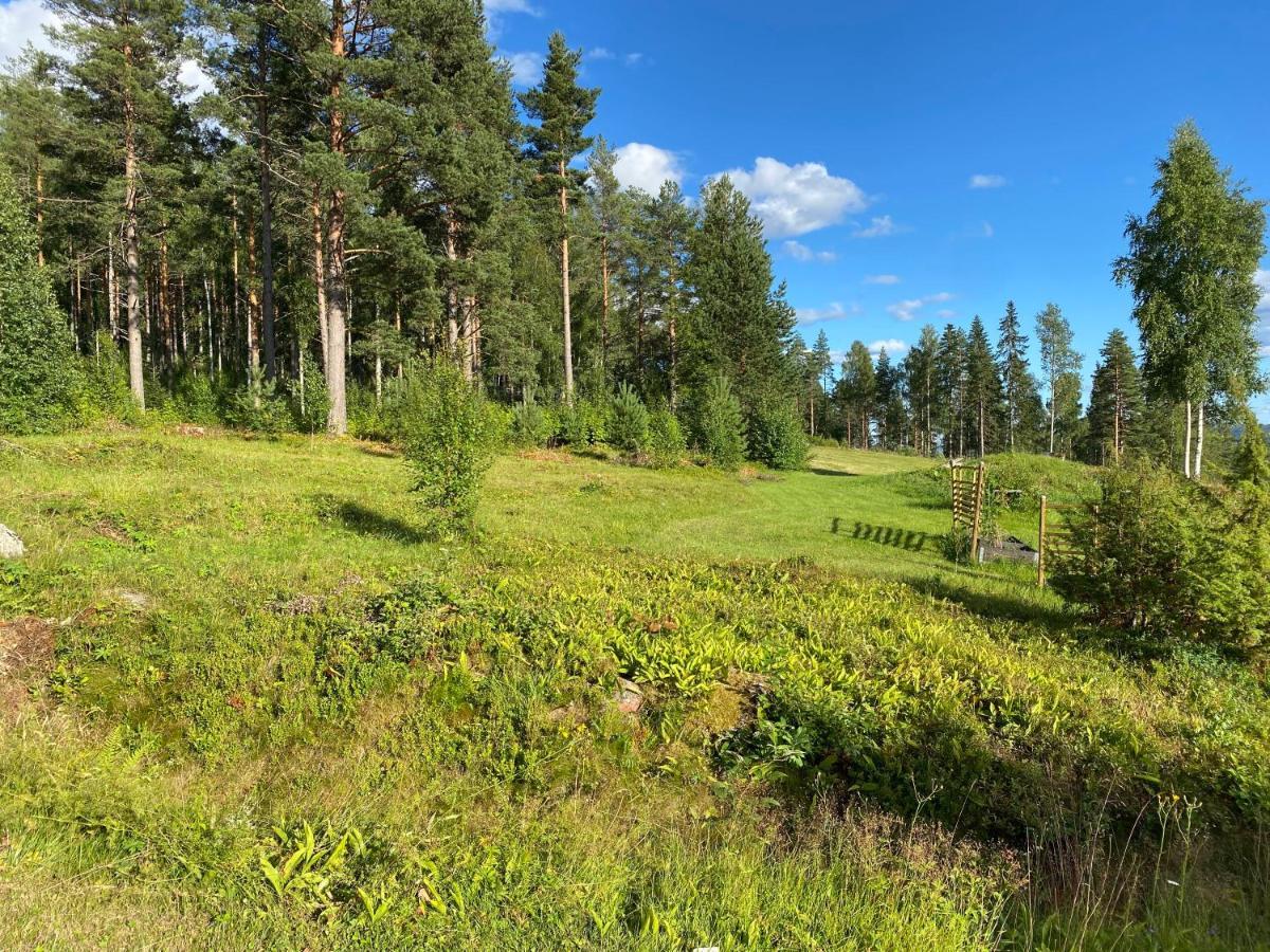 Beautiful 4-5 Persons Cottage In Alvdalen Blyberg 외부 사진
